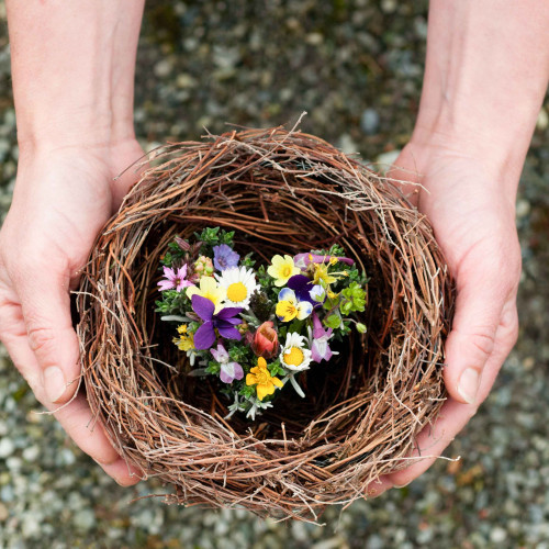 {"id":4926,"disk_name":"6930160433593269783343.jpg","file_name":"nestherz_kachel.jpg","file_size":607205,"content_type":"image\/jpeg","title":null,"description":null,"field":"image","sort_order":4926,"created_at":"2025-12-03T10:50:44.000000Z","updated_at":"2025-12-03T10:50:50.000000Z","offline_responsiveimages_focus_x_axis":null,"offline_responsiveimages_focus_y_axis":null,"path":"http:\/\/ideenreich-fellmann.ch\/storage\/app\/uploads\/public\/693\/016\/043\/6930160433593269783343.jpg","extension":"jpg"}