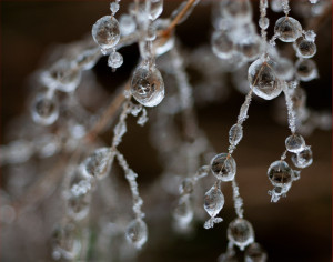 Ein herzliches merci